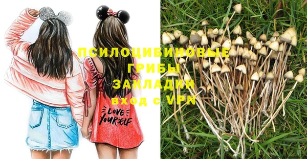 бутират Белокуриха